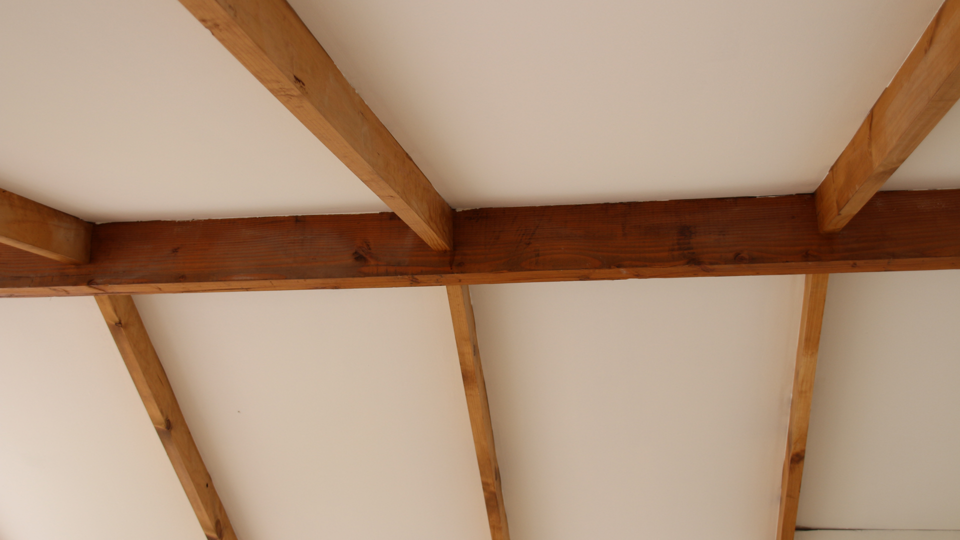 Viga Madre y Laterales